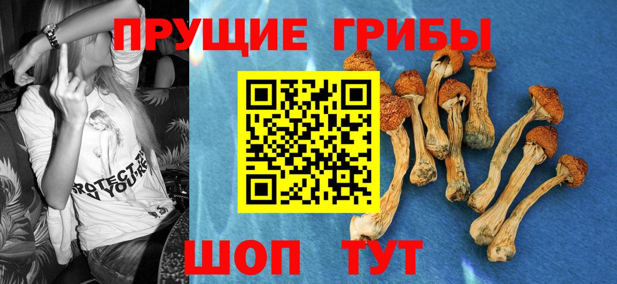 Галлюциногенные грибы Psilocybine cubensis  Галлюциногенные грибы Magic Shrooms  Вход с VPN  Советский 