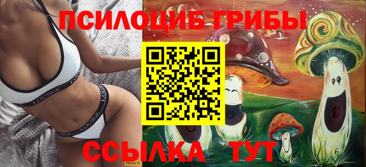 Галлюциногенные грибы мицелий Советский